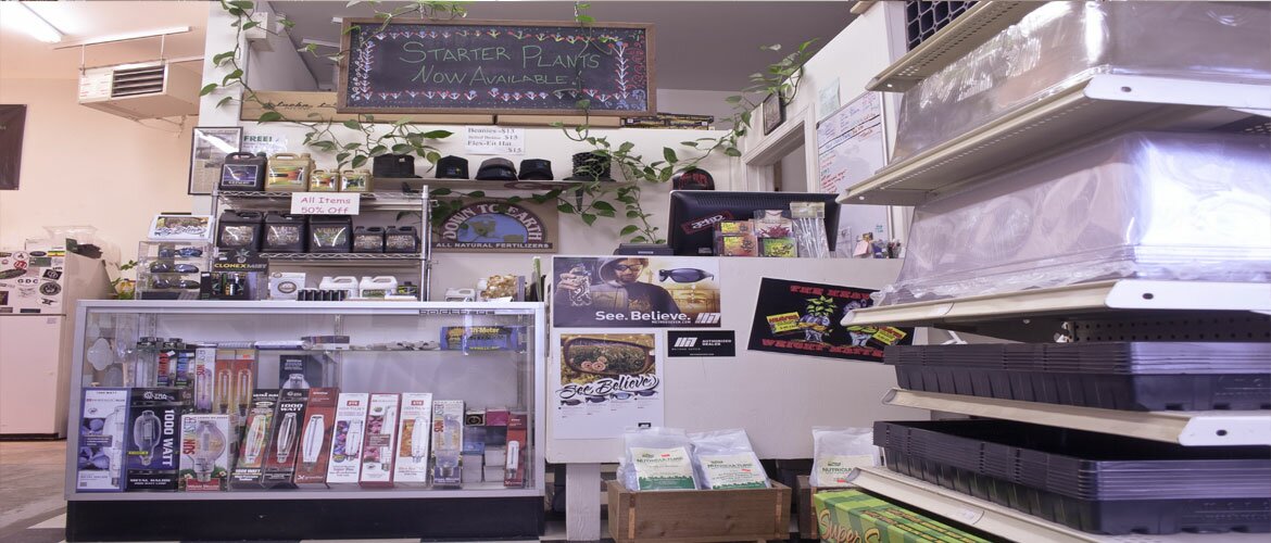 Welcome to Box of Rain Organic Garden Center